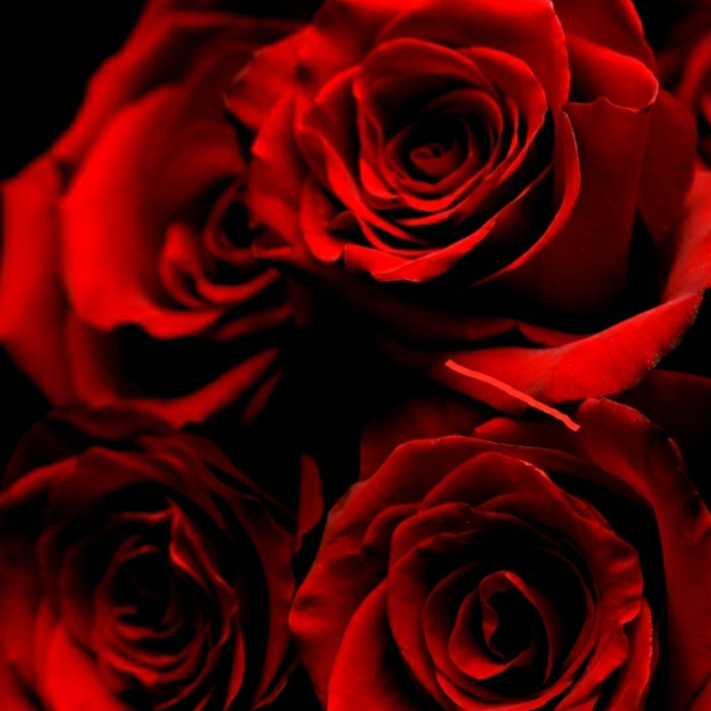 Meet your Posher, Aquemini